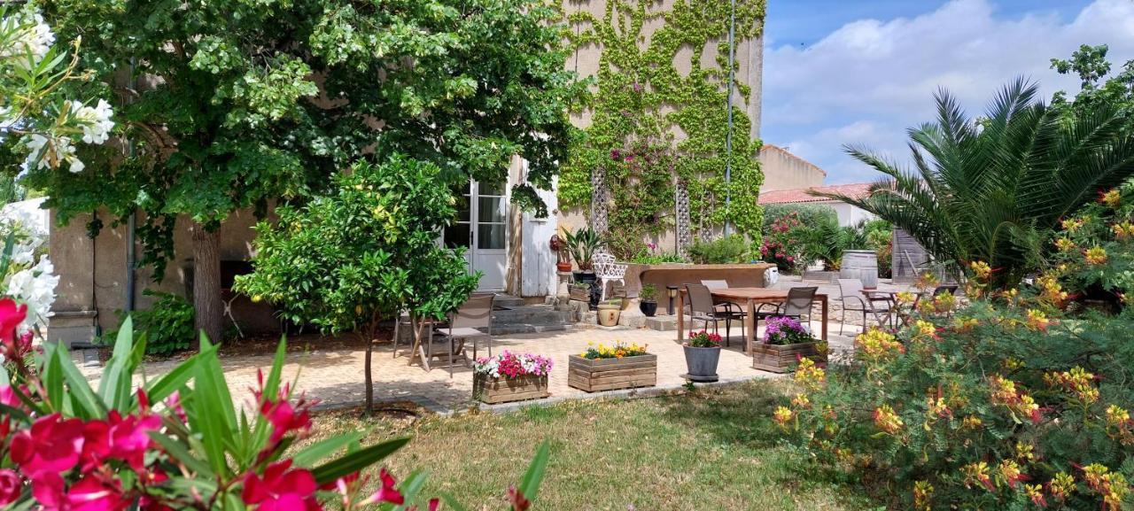Maison Matisse Saint-Nazaire-d'Aude Kültér fotó