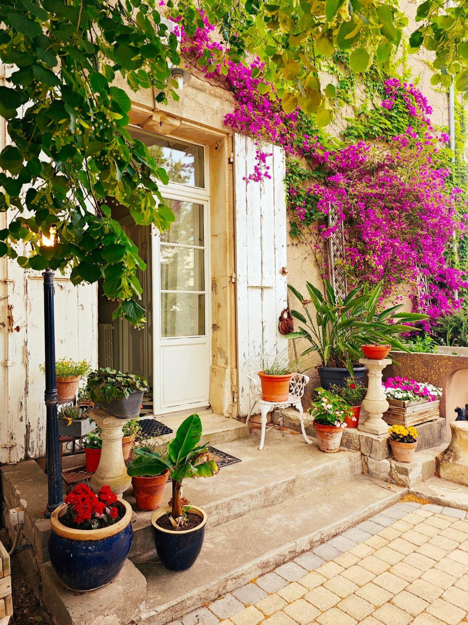 Maison Matisse Saint-Nazaire-d'Aude Kültér fotó